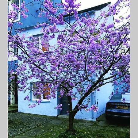 Albion Cottage Кокермут Экстерьер фото